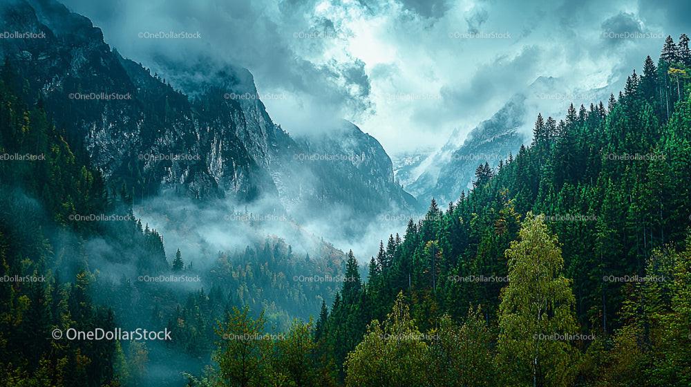 Misty Mountains and Evergreen Forest under Cloudy Skies