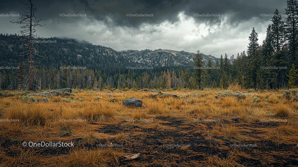 Dramatic Mountain Landscape with Stormy Skies and Pine Forest