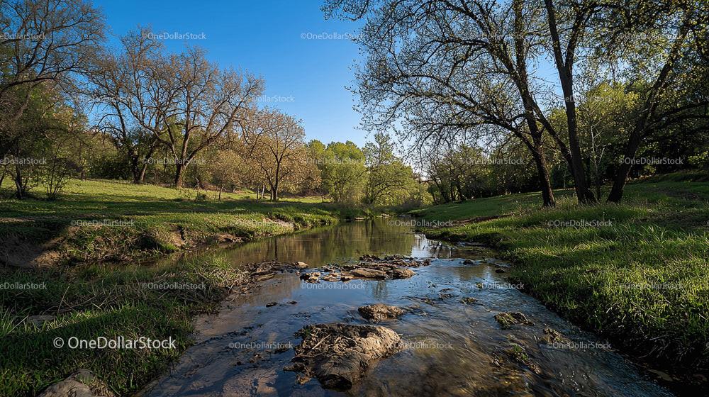 Tranquil River Flowing Through Peaceful Forest Landscape