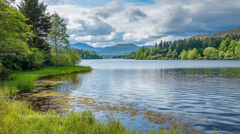 Calm Lake Surrounded by Verdant Forest and Distant Mountains