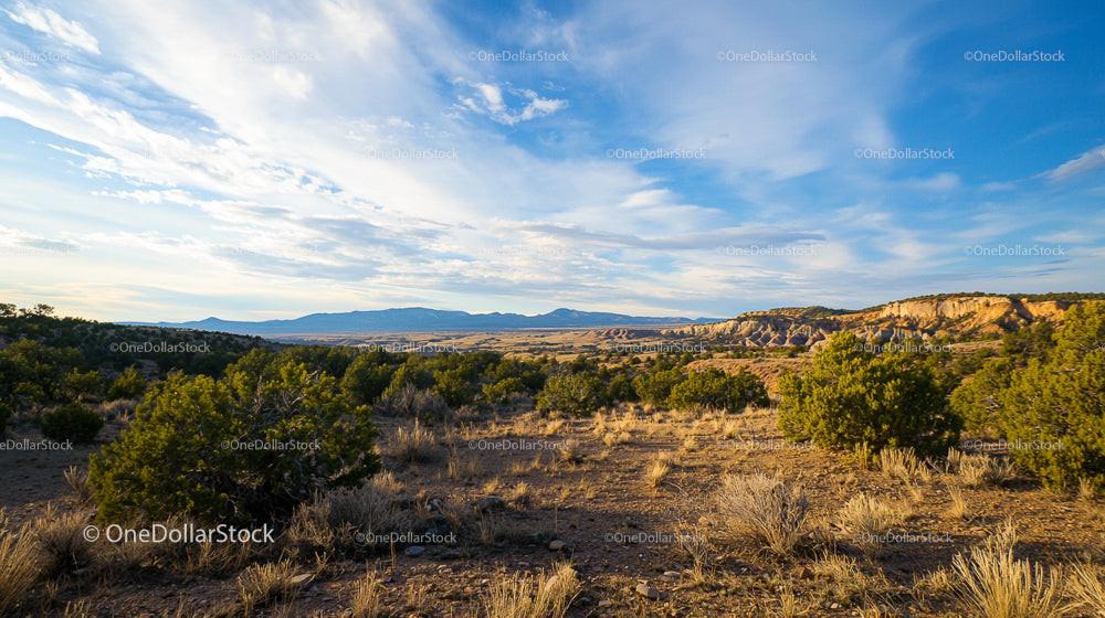 Expansive Desert Landscape Under Vibrant Blue Sky