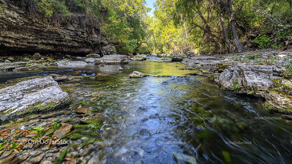 Tranquil Stream Flowing Through Lush Green Forest