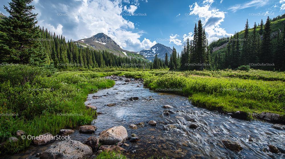 Scenic Mountain Stream with Majestic Pine Trees and Peaks