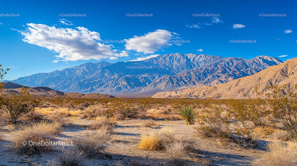 Scenic Desert Landscape with Majestic Mountain View