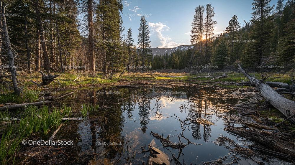 Tranquil Forest Pond Reflecting Sunset and Mountains