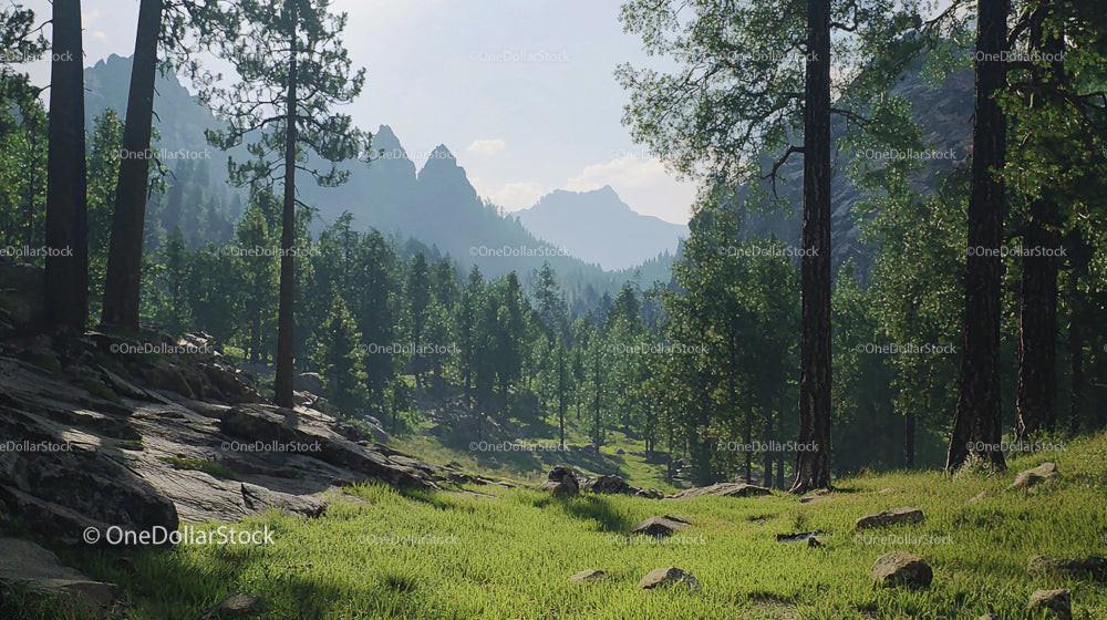 Tranquil Mountain Valley with Lush Pine Forest