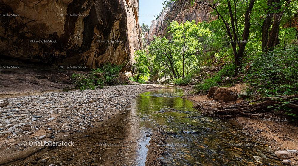 Serene Creek Flowing Through Lush Canyon Landscape