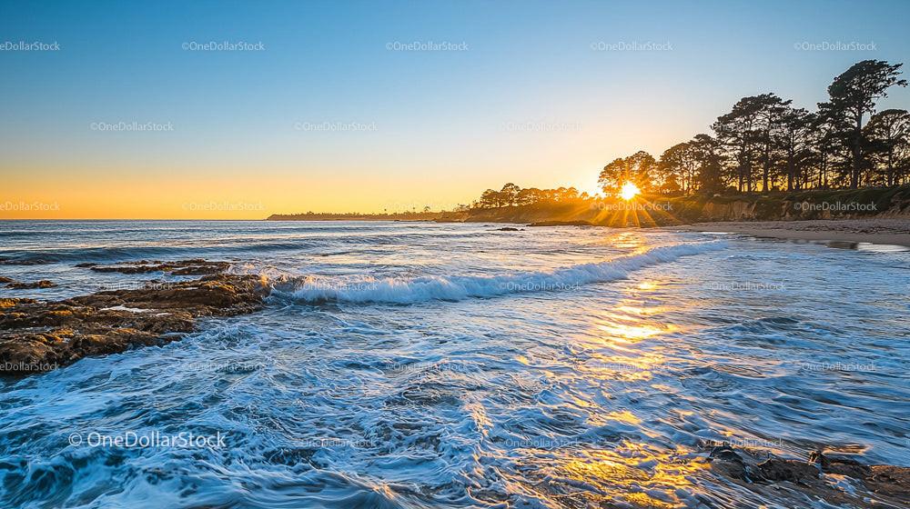 Sunset Over Coastal Landscape with Ocean and Trees