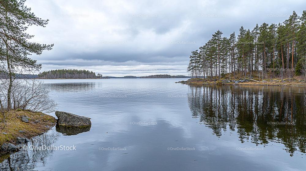 Serene Northern Lake with Pine Forest Reflections