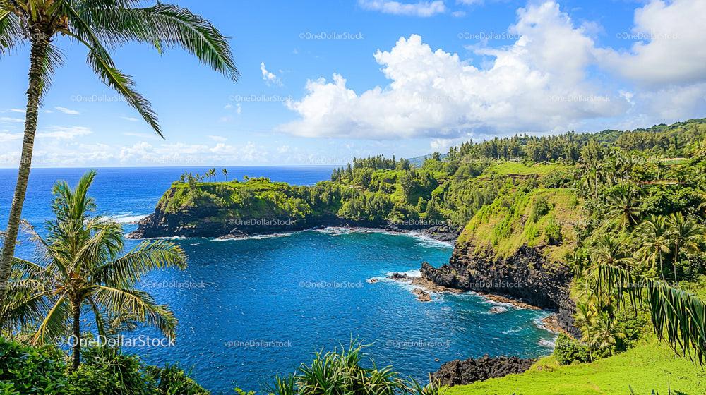 Tropical Island with Lush Greenery and Blue Ocean