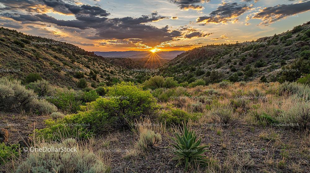 Stunning Sunset Over Mountain Valley with Desert Vegetation