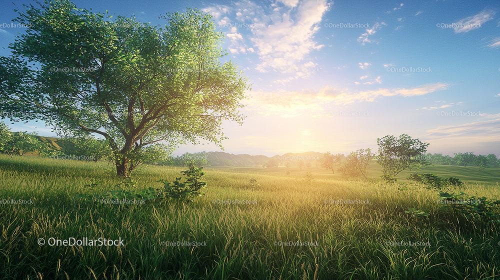 Sunlit Meadow with Lush Greenery and Vibrant Sky