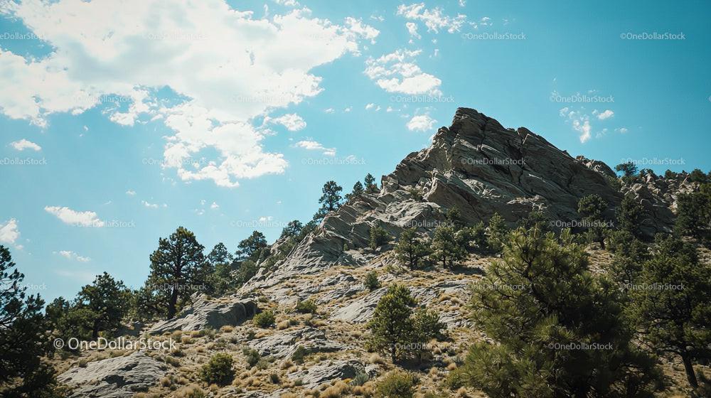 Rocky Mountain Landscape with Pine Trees and Blue Sky