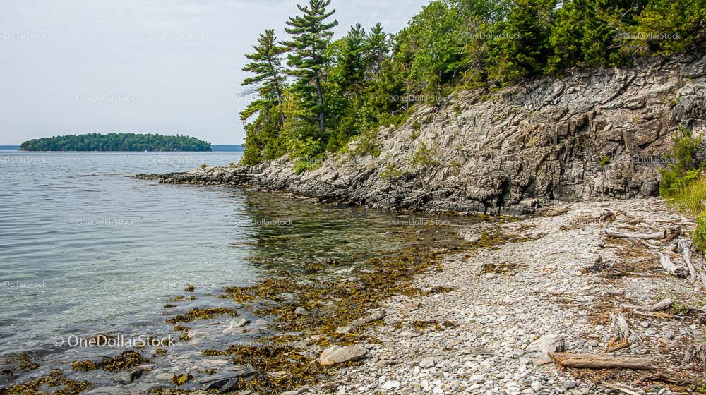 Tranquil Rocky Shoreline with Pine Trees and Serene Waters