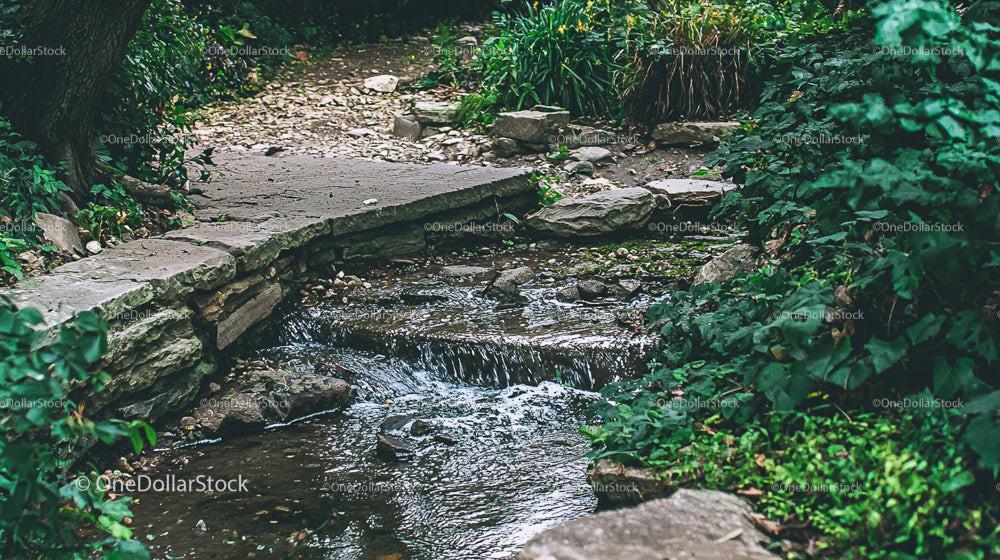 Tranquil Stream Flowing Through Lush Garden Scenery