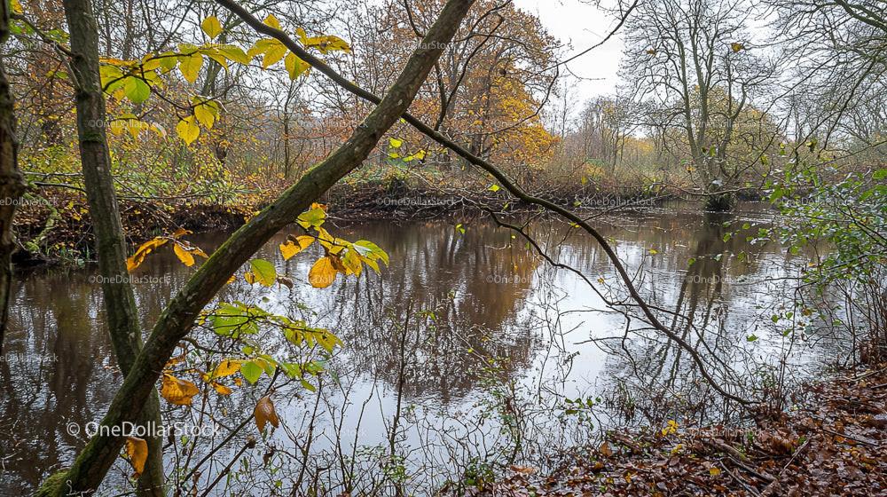 Tranquil Woodland River with Autumn Foliage Reflections