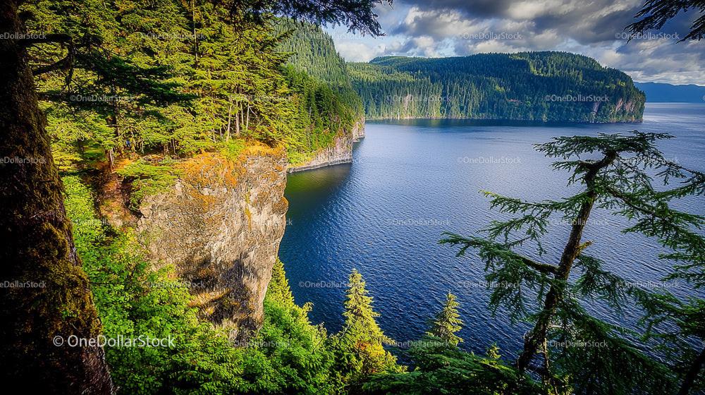 Stunning Coastal Cliffs with Lush Greenery and Clear Blue Water