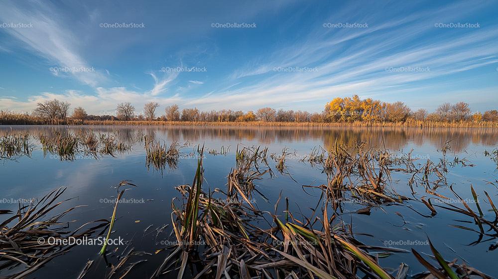 Serene Autumn Lake with Lush Foliage and Reflective Sky