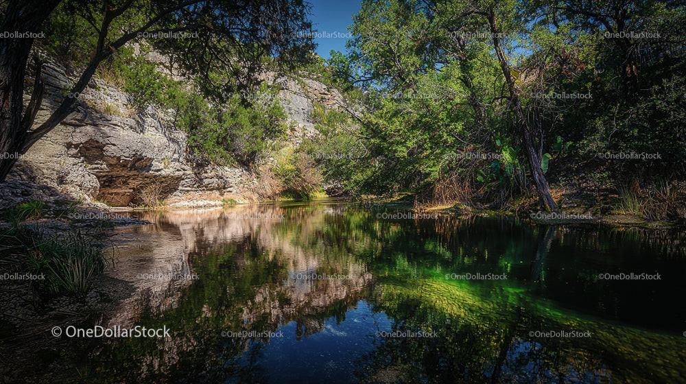 Tranquil Forest River with Lush Green Reflections
