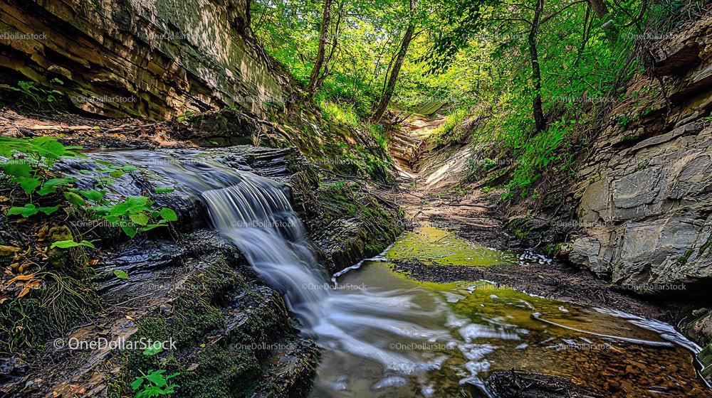 Tranquil Waterfall Flowing Through Verdant Forest Gorge