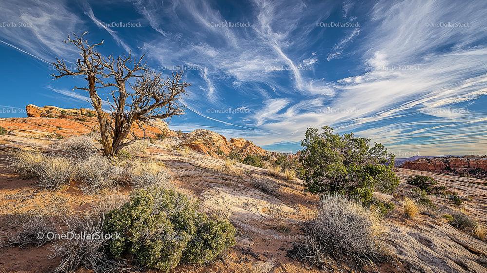 Magnificent Desert Landscape with Dramatic Sky and Sandstone