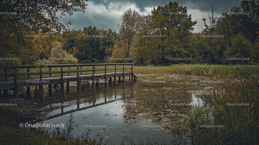 Tranquil Wooden Bridge Over Serene Pond in Autumn