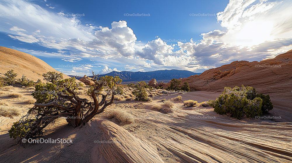 Desert Landscape with Dramatic Clouds and Rocky Terrain