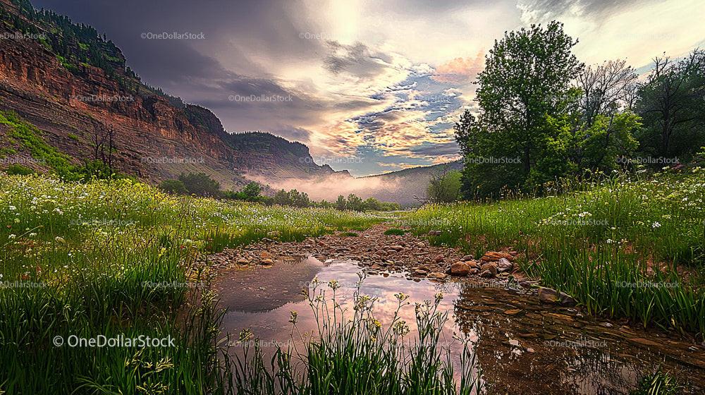 Tranquil Sunrise Over Lush Meadow and Rocky Mountains