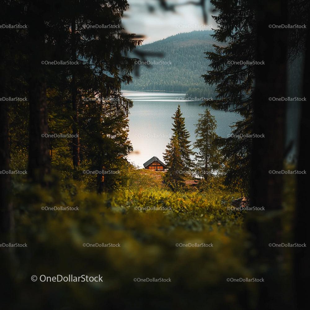 Cozy Lakeside Cabin Amidst Evergreen Forest