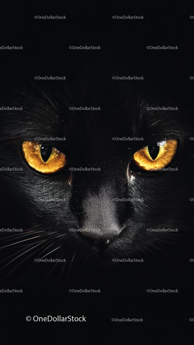 Black Cat with Piercing Yellow Eyes Portrait