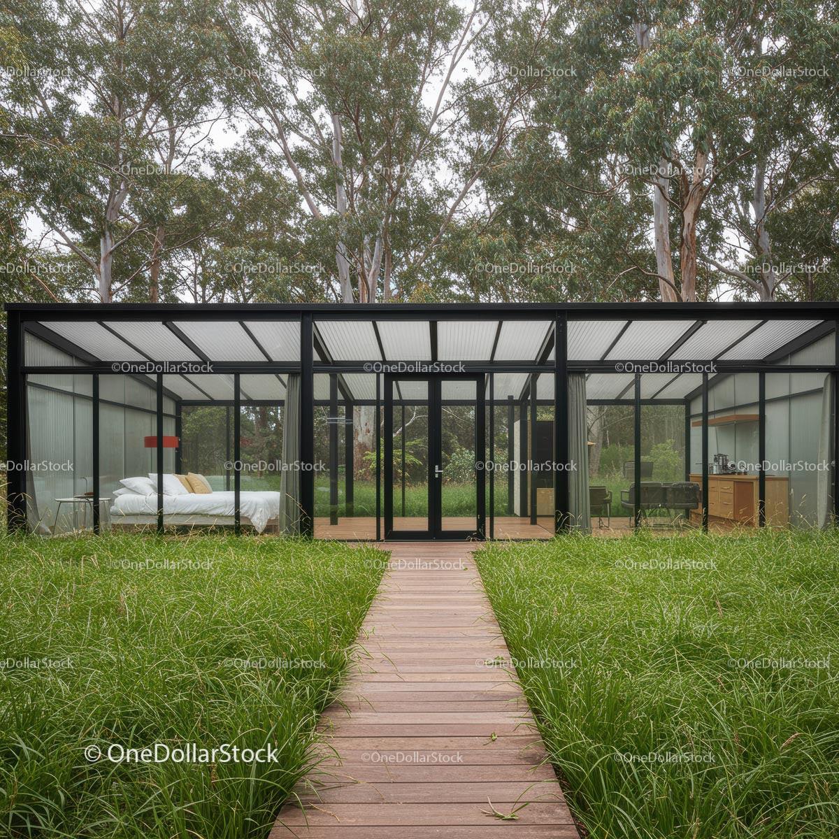 Modern Glass House in a Lush Forest Setting