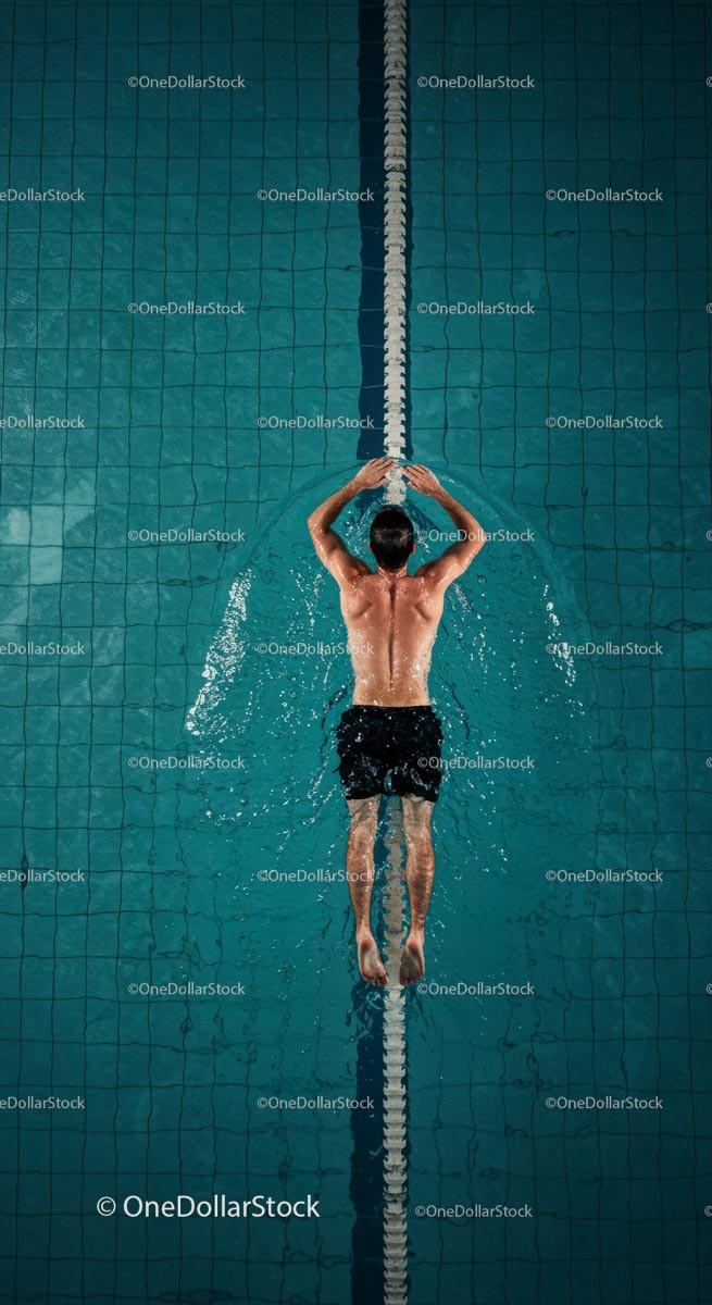 Male Swimmer in a Pool Performing Backstroke