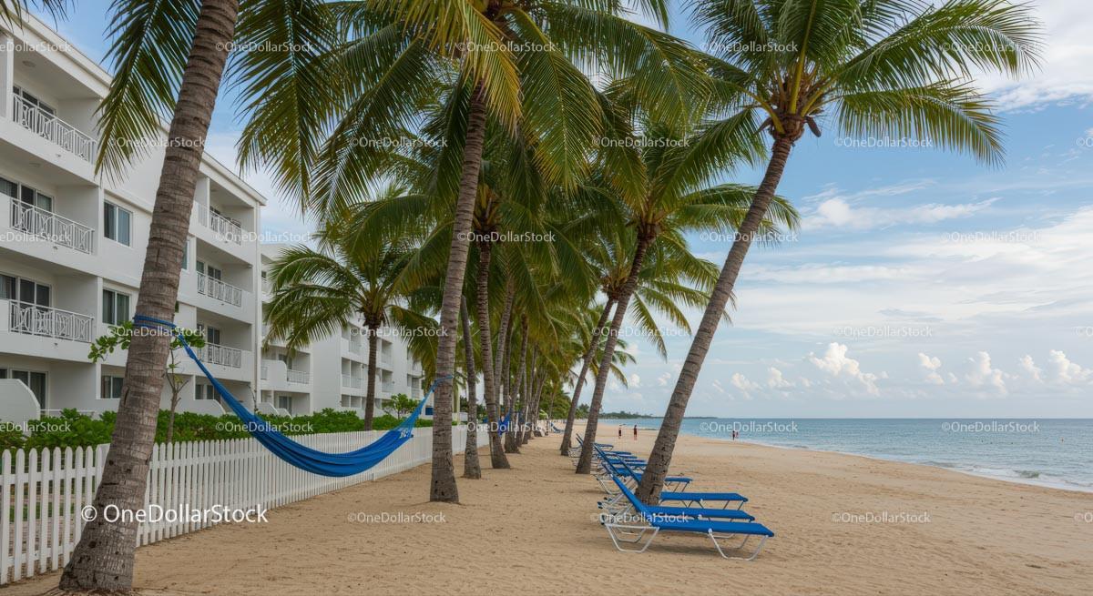 Serene Tropical Beach with Swaying Palm Trees and Hammock