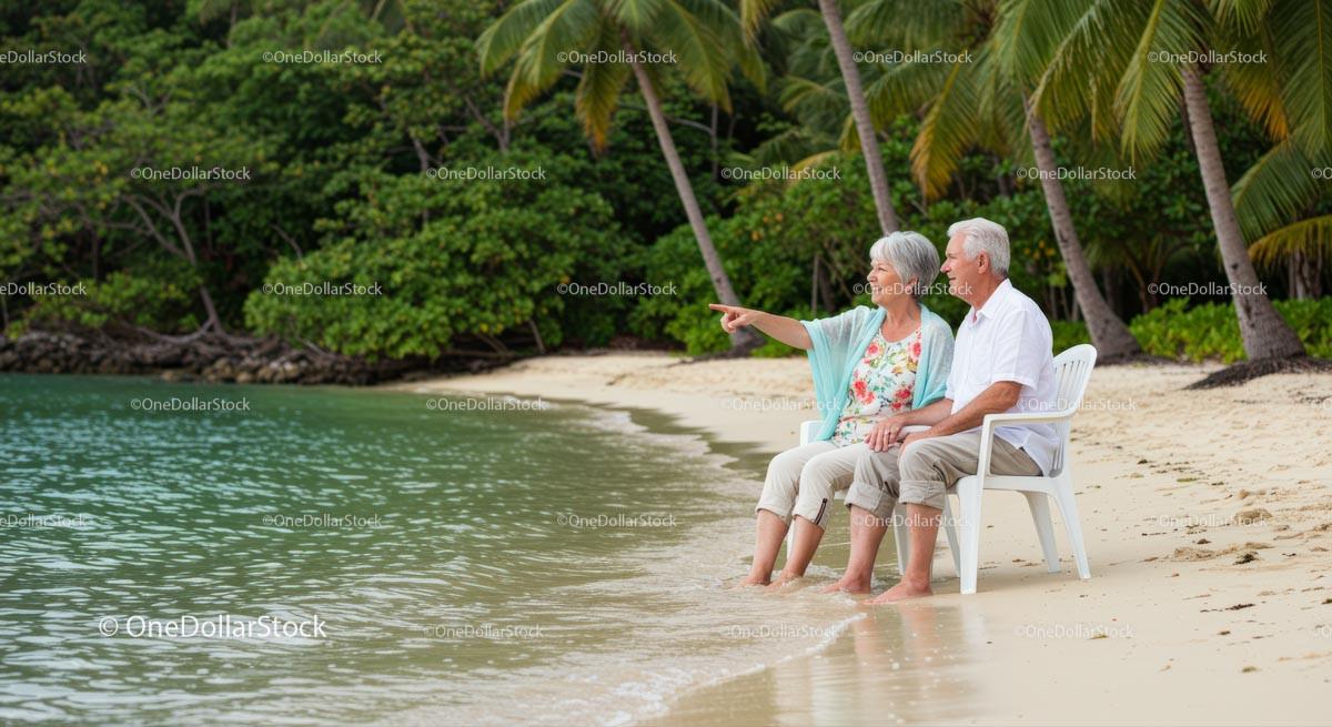 Elderly Couple Enjoying a Tropical Beachside View