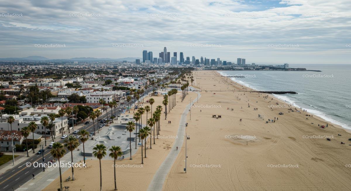 Stunning Beachfront and City Skyline with Tall Palm Trees