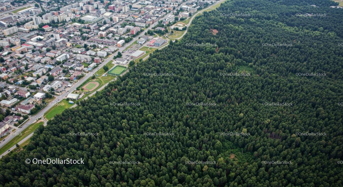 Aerial View of City Meeting a Vast Forest