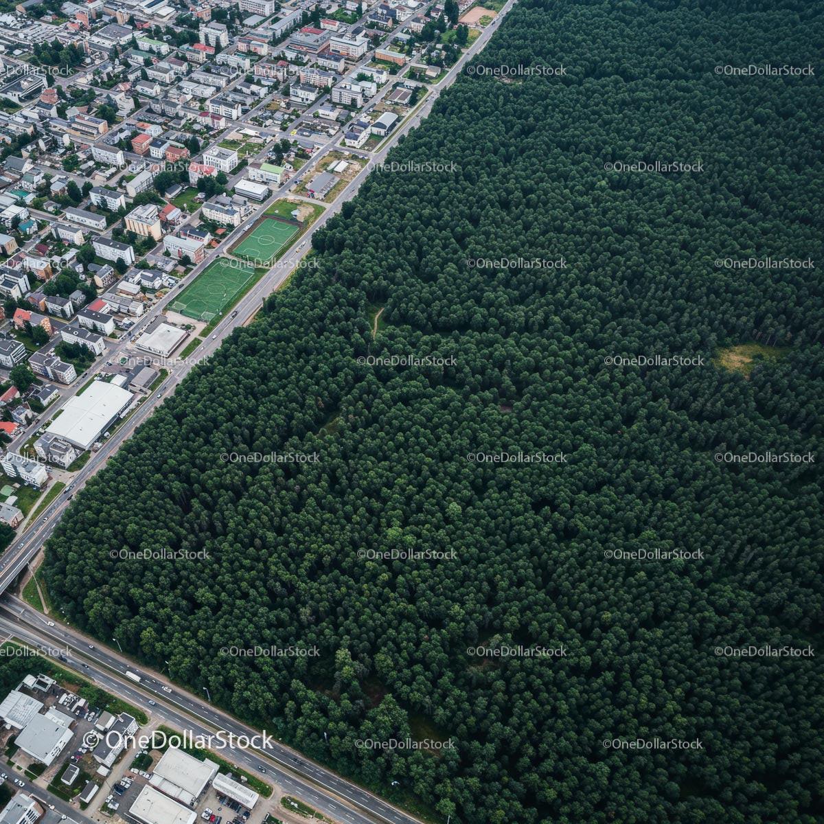 Aerial View of City and Dense Green Forest Contrast