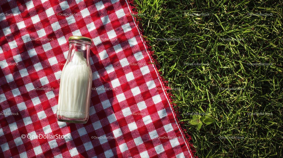Glass Bottle of Milk on Red Checkered Picnic Blanket