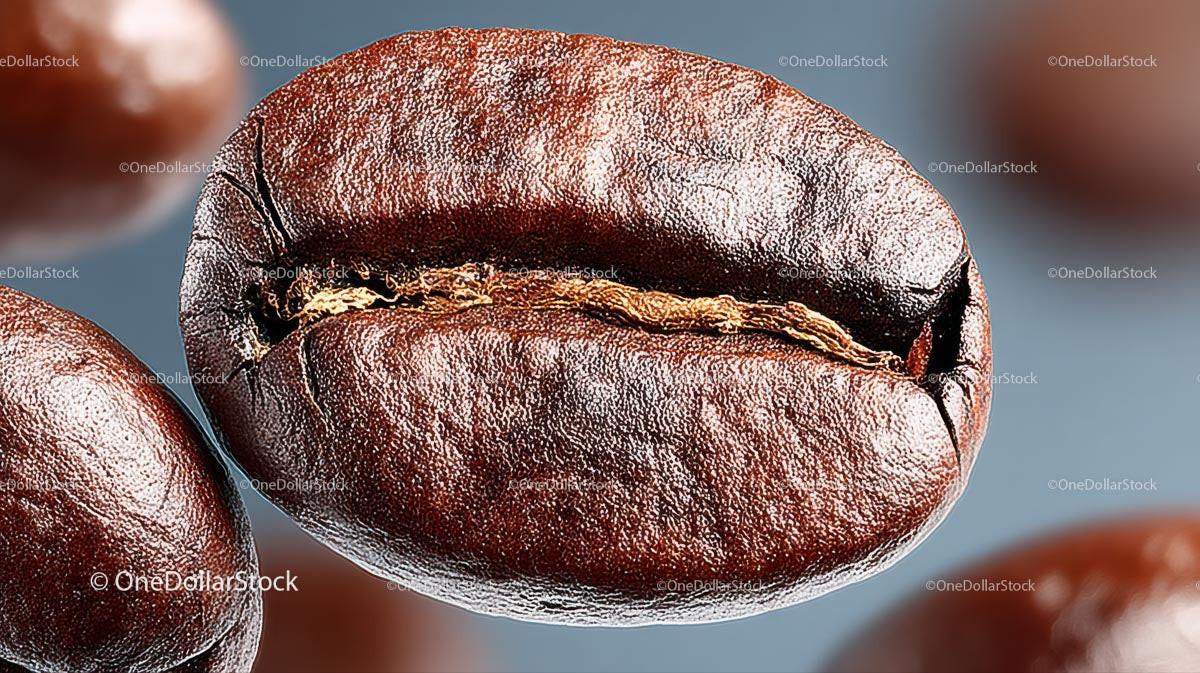 Macro Shot of Rich Brown Roasted Coffee Bean