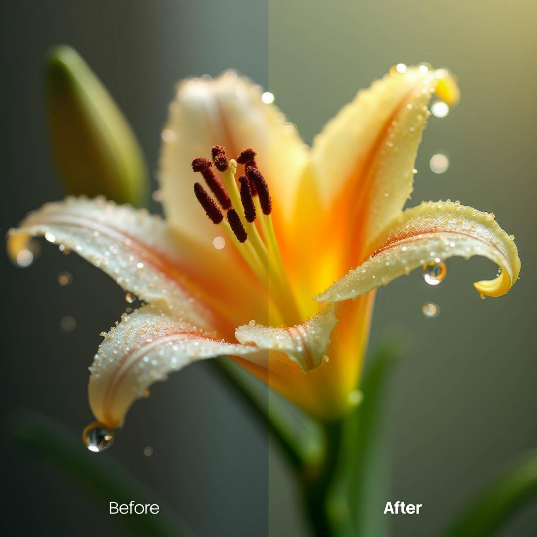 Before and after Floral Lightroom preset edit