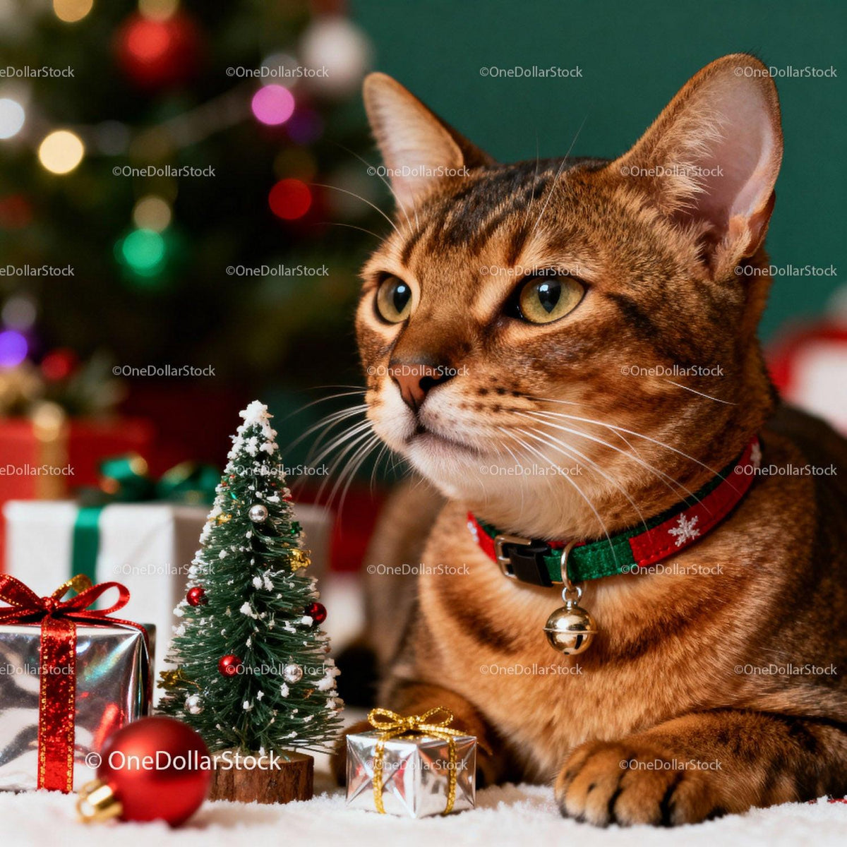 Tabby Cat with Festive Collar by Mini Christmas Tree