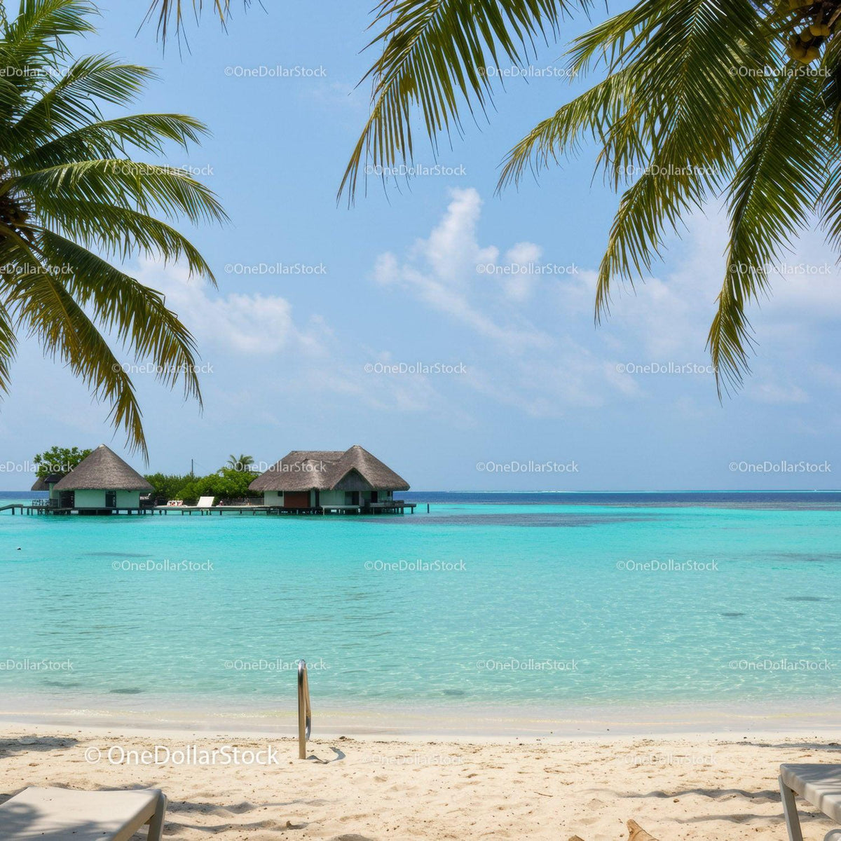 Tropical Overwater Bungalows with Palm Trees and Blue Ocean View