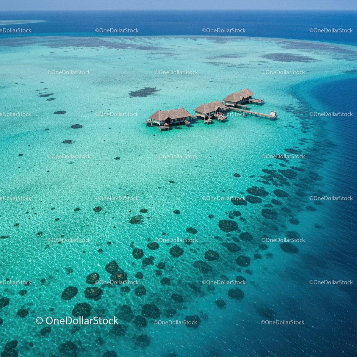 Overwater Bungalows in Turquoise Waters with Coral Reef Scenery