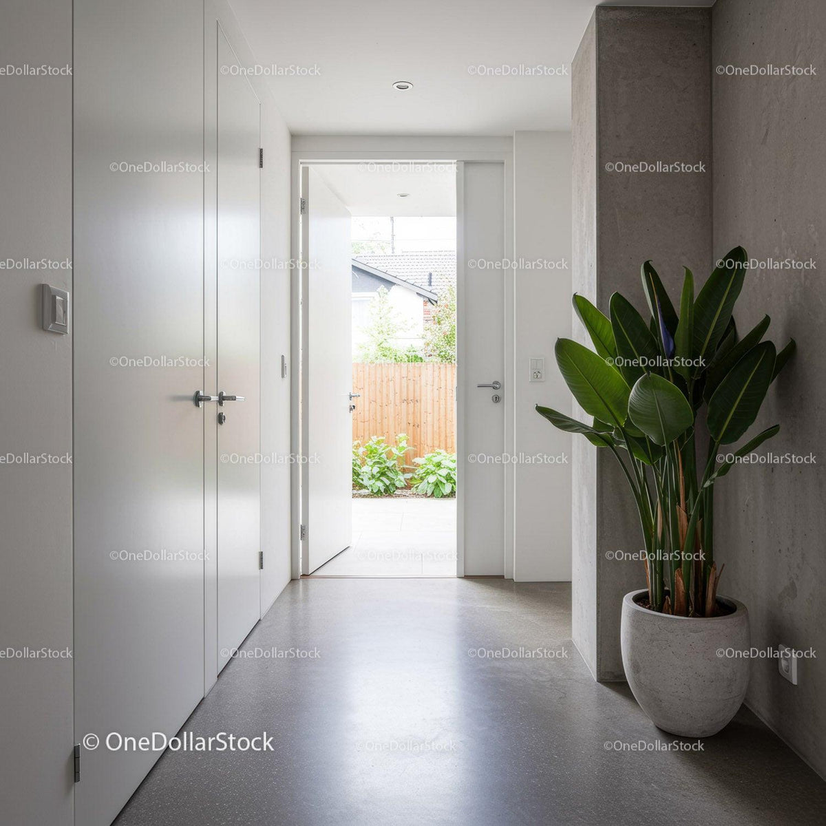 Modern Minimalist White Door Entrance with Indoor Plant and Concrete Wall