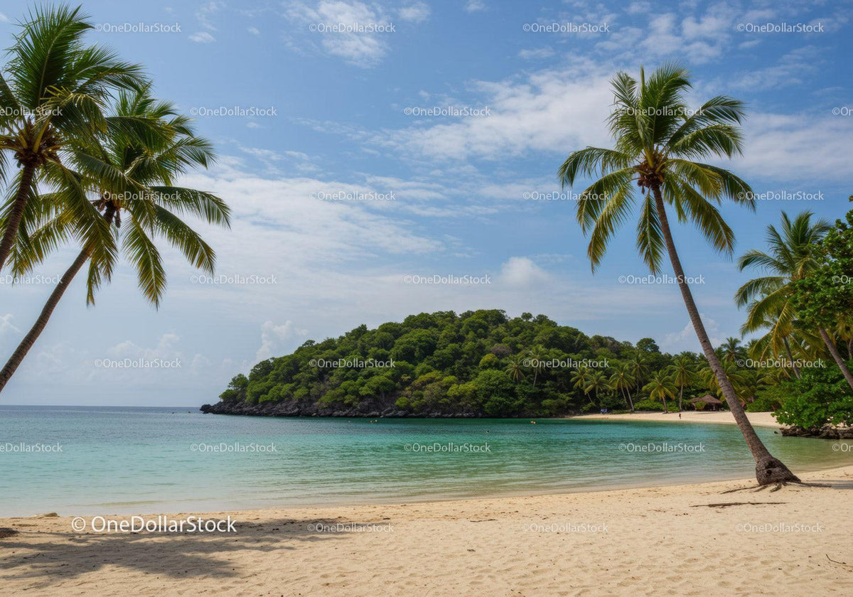 Tropical Beach Scene with Palms and Calm Ocean Water