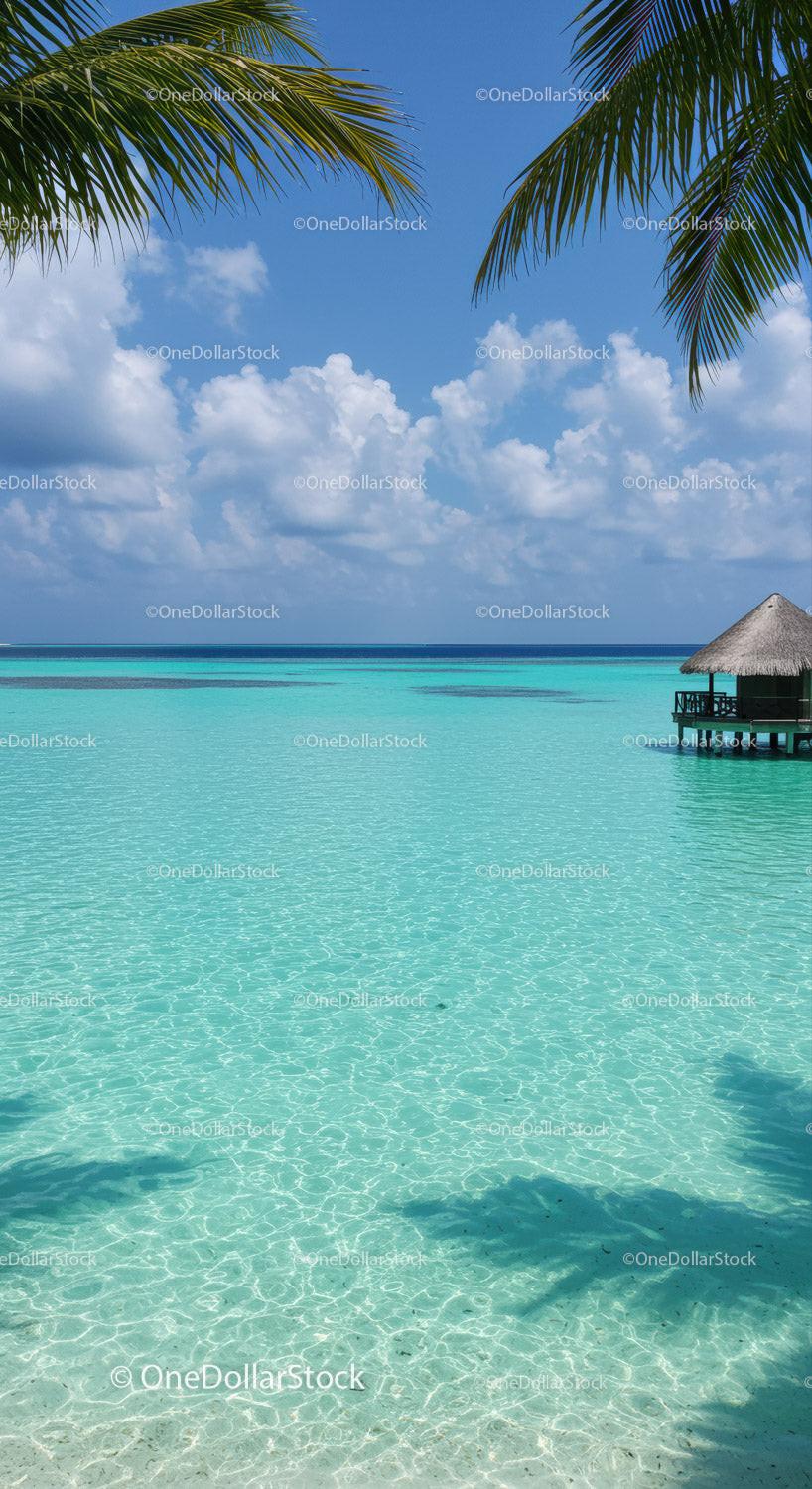 Tropical Beach with Overwater B bungalow and Palm Trees Under Blue Sky