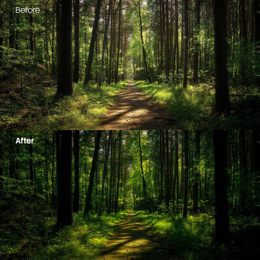 outdoor photography edit with Forest Glow Dark Lightroom presets