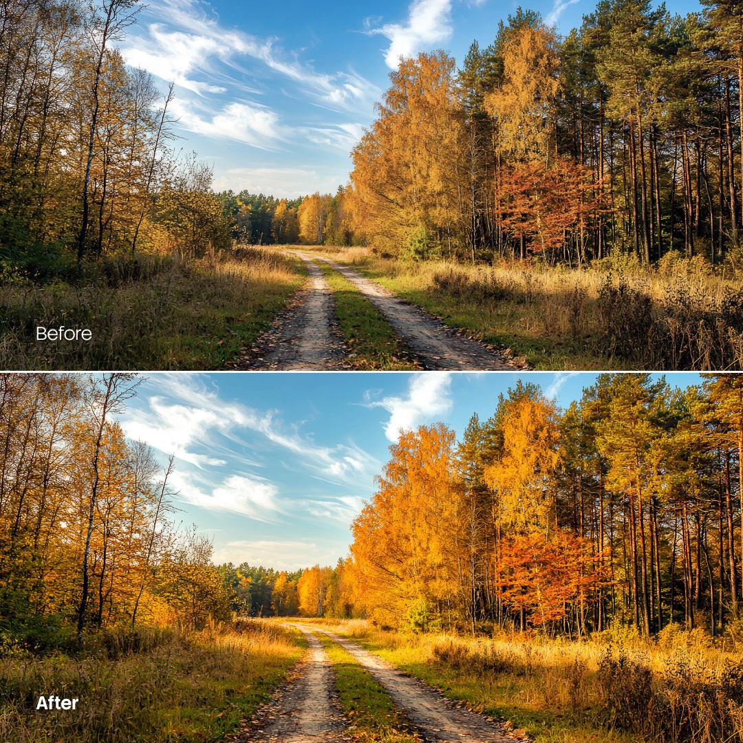 Cozy Autumn Leaves Palette XMP presets color grading preview