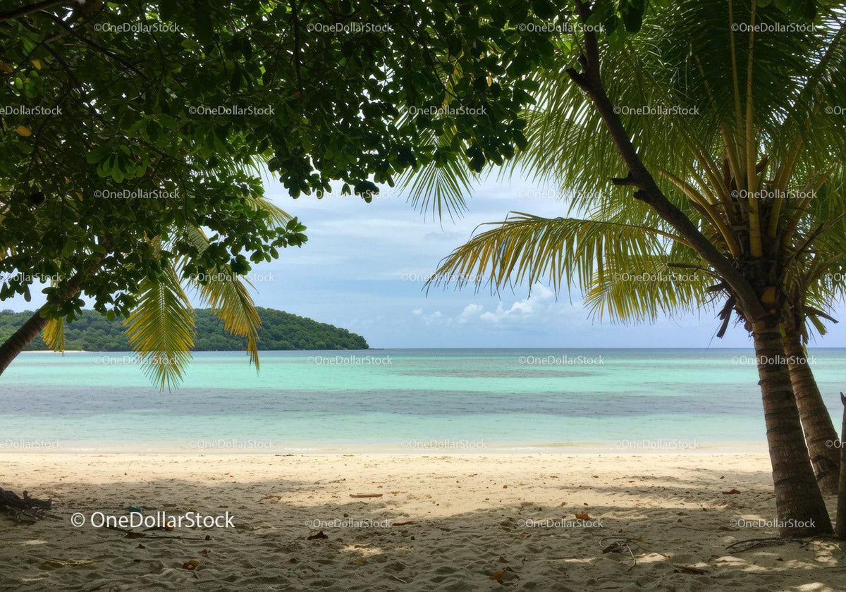 Tropical Beach Scene with Palm Trees and Calm Sea