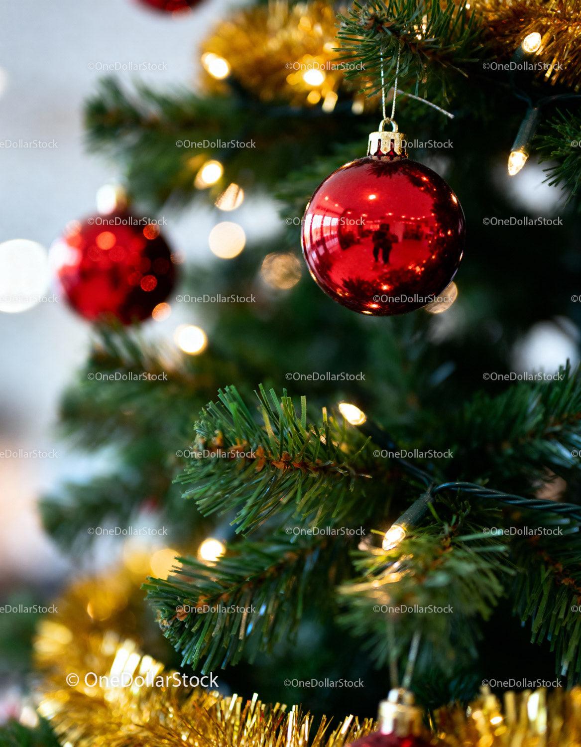 Red Christmas bauble hanging on decorated tree